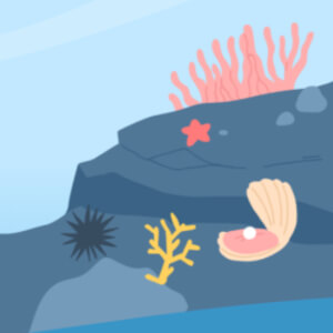 Vex robotics coral cleanup