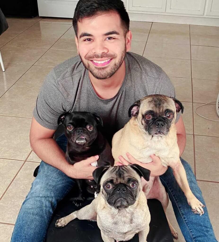 Angel with his pugs