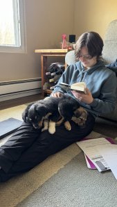 Lacey reading a book with her new puppies
