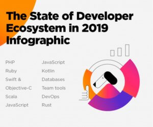 the state of developer ecosystem in 2019 infographic