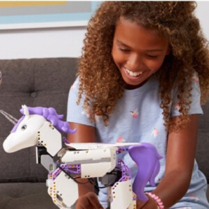 Unicorn STEM robot
