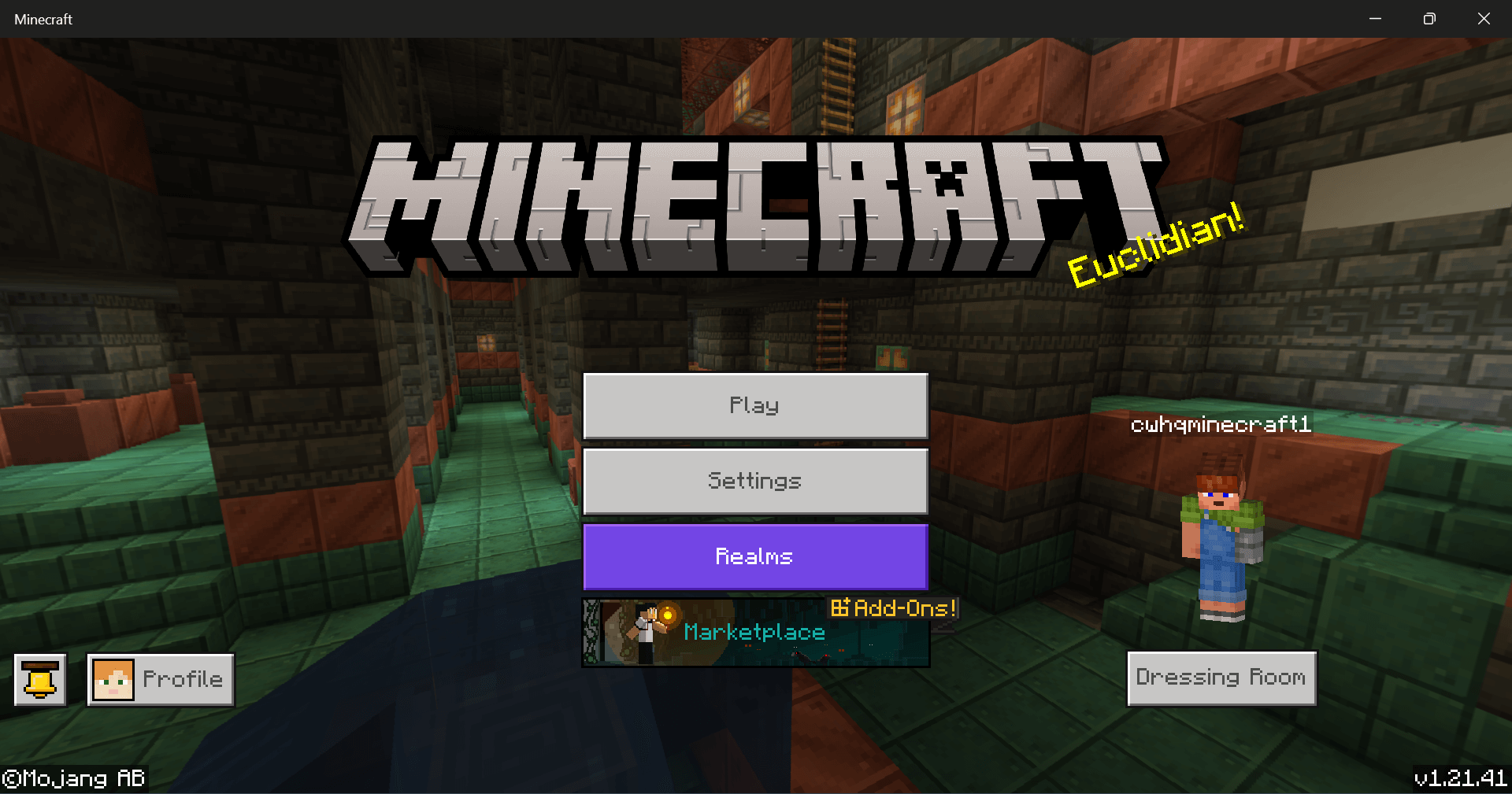 Customize chat bedrock edition start server
